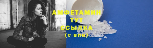 стафф Иннополис