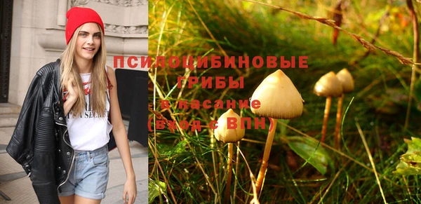 стафф Иннополис
