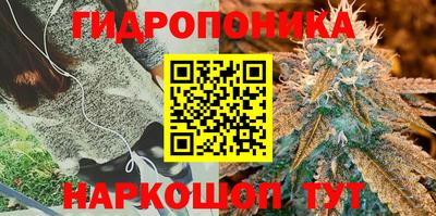 a pvp Малгобек