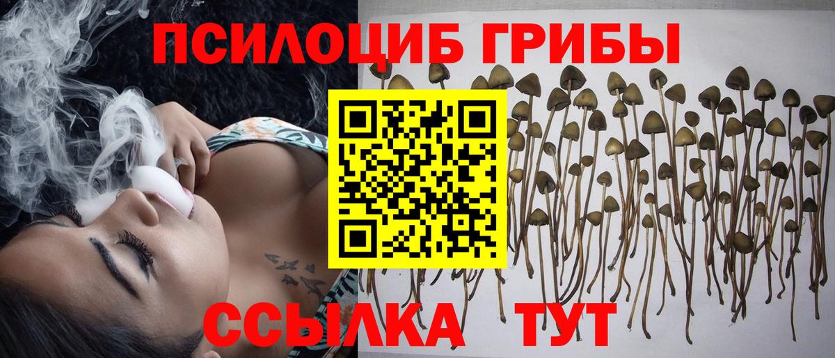 Ишимбай  даркнет сайт  Галлюциногенные грибы мухоморы  Вход с VPN  Псилоцибиновые грибы мицелий 